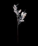 R103501 VARA PIÑAS 61CM