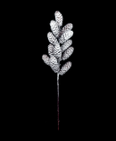 R103506 VARA PIÑAS 57CM