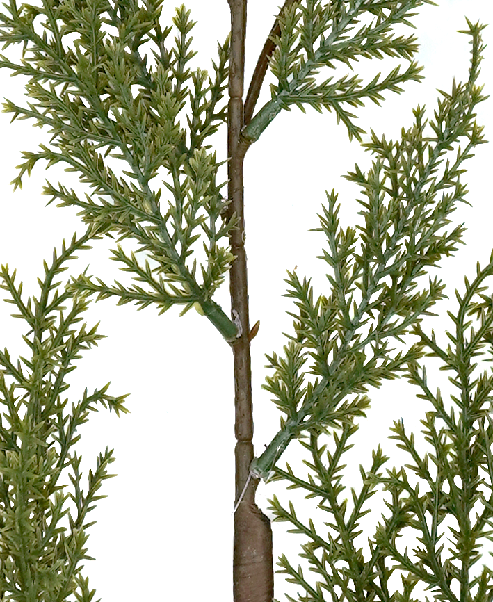 R103507 VARA PINO PIÑAS 83CM