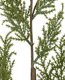 R103507 VARA PINO PIÑAS 83CM