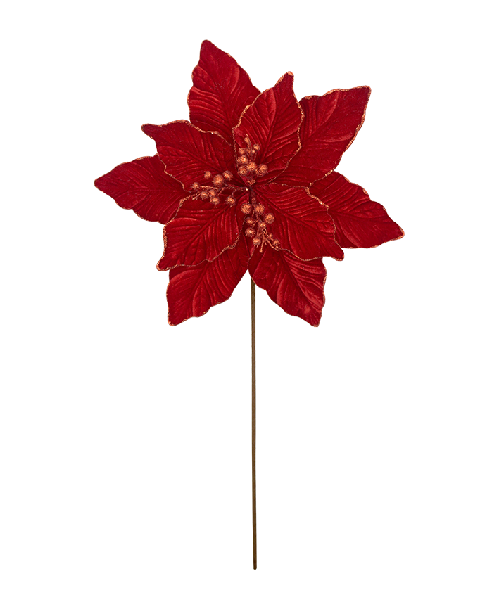 R106382 VARA NOCHE BUENA ELEGANTE D28 A45