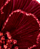 R106392 VARA FLOR OCEANA D24A40CM