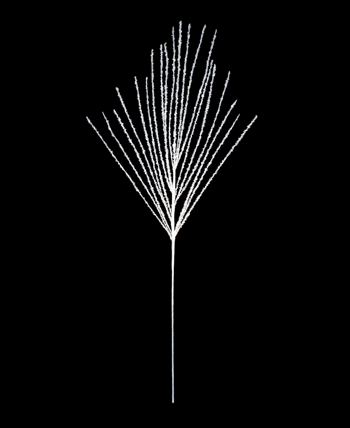 R106801 VARA BENGALA 88CM