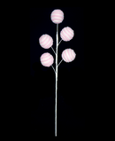 R106852 VARA POP CARAMELO 56CM