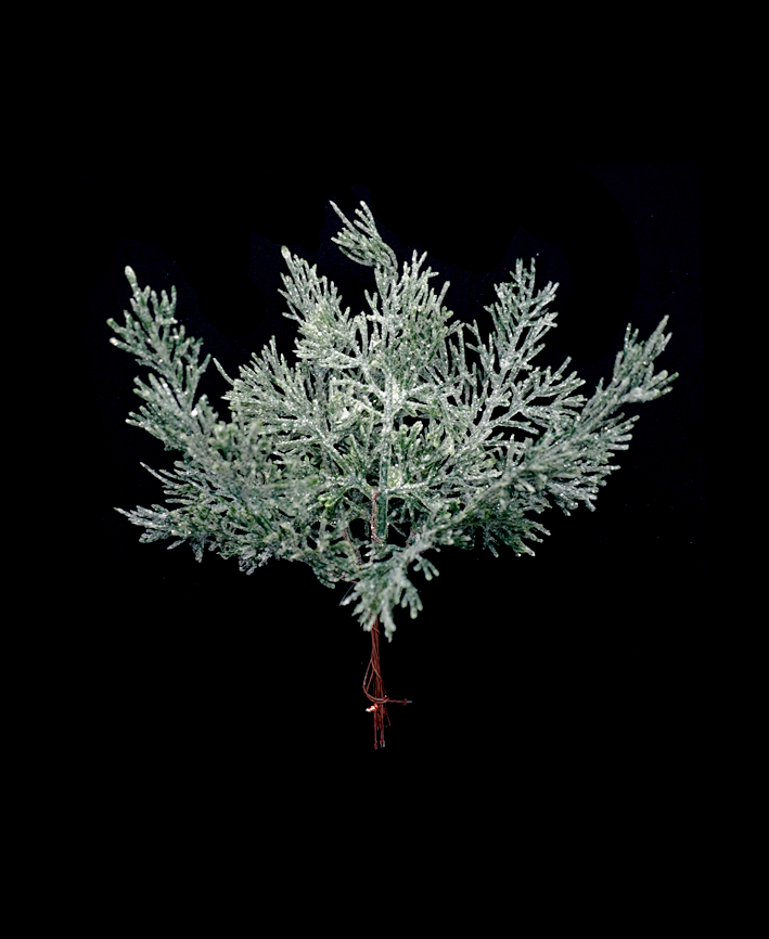 R113087 NAVIDAD PICK PINO DIAMANTADO 22CM VERDE