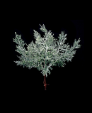 R113087 NAVIDAD PICK PINO DIAMANTADO 22CM VERDE