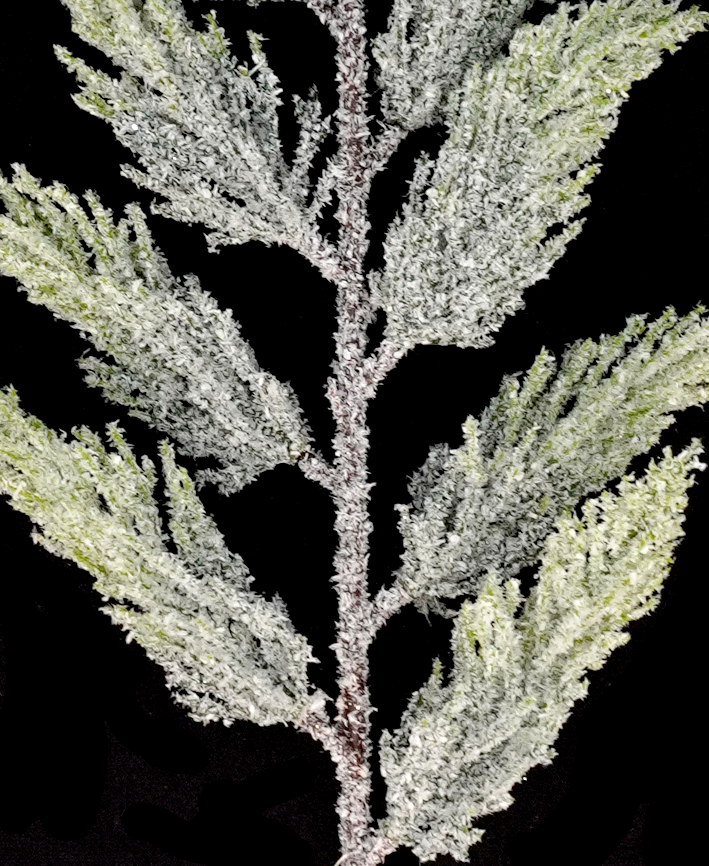 R113158 FOLLAJE PINO NEVADO 83CM VERDE