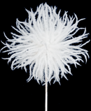 R113160 VARA ERIZO 60X15CM BLANCO