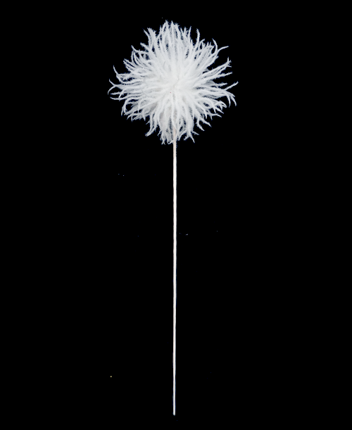 R113160 VARA ERIZO 60X15CM BLANCO