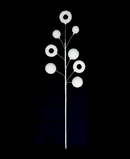 R113266 VARA POP DONAS 58CM