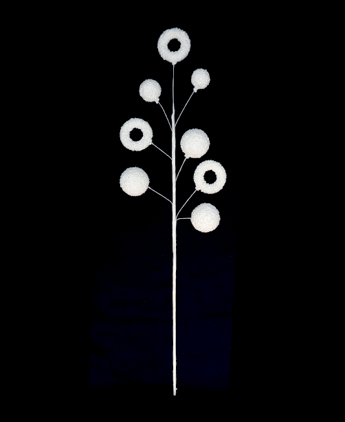 R113266 VARA POP DONAS 58CM