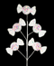 R113267-1 PK VARA CARAMELOS 67CM ROSA