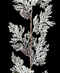 R113310 NAVIDAD GUIA PIÑAS NEVADA 140CM