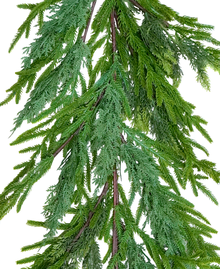R113316 GUIA PINO CEDRO FRONDOSO RT 150X40CM