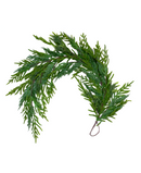 R113316 GUIA PINO CEDRO FRONDOSO RT 150X40CM