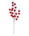 R113716-1 R FOLLAJE BERRY GRANDE 69CM RED
