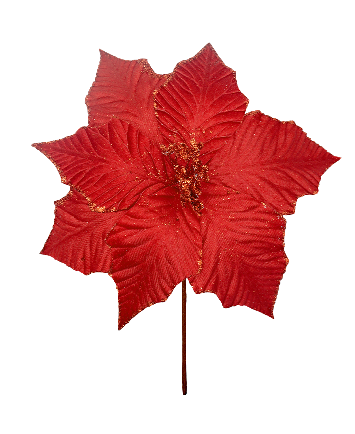 R113807 VARA NOCHE BUENA D30CM