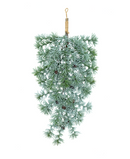 R119431 GOTA DE PINO ABETO FROZEN 60CM