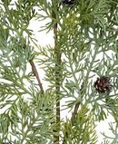 R119451 VARA PINO CEDRO 85CM