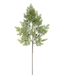 R119451 VARA PINO CEDRO 85CM