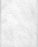 R133018-1 ROLLO LISTON PELUCHE 6.3CMX10Y