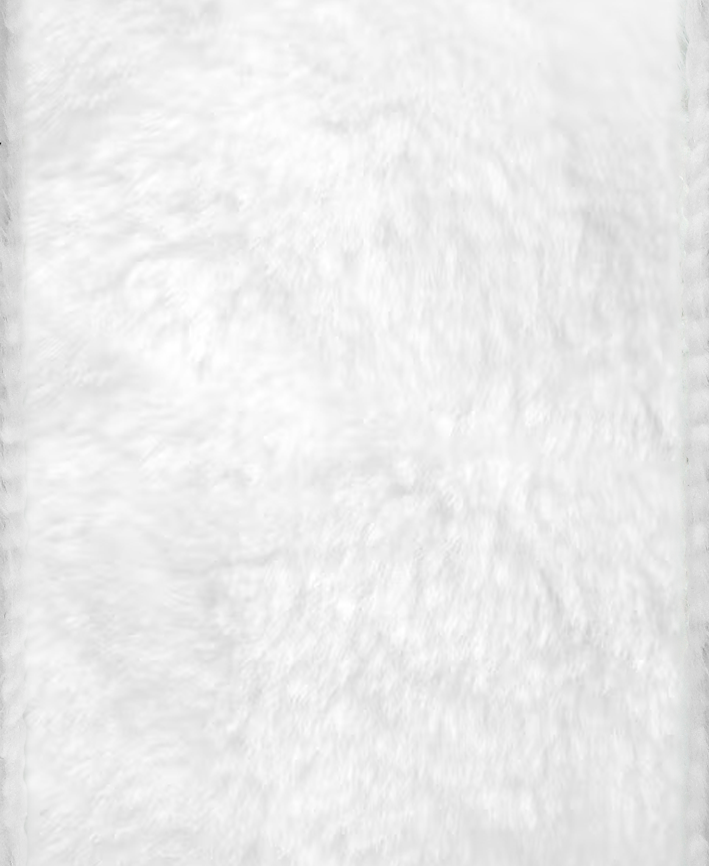 R133018-1 ROLLO LISTON PELUCHE 6.3CMX10Y