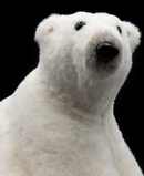 R134211 OSO POLAR SENTADO 30X30CM
