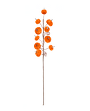 R181002 VARA CALABAZAS 70CM