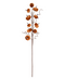 R181002-1 OR VARA CALABAZAS 70CM