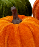 R181105 CALABAZAS C/6PZS