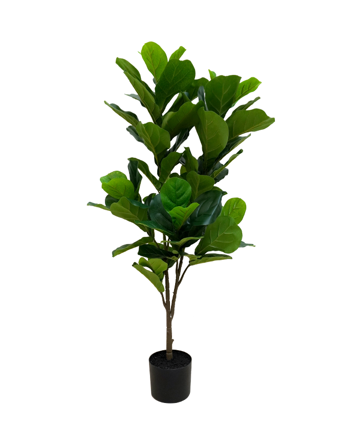 R201095 PLANTA ARTIFICIAL RT PANDURATA 120 CM