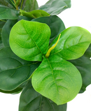 R201095 PLANTA ARTIFICIAL RT PANDURATA 120 CM