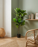 R201095 PLANTA ARTIFICIAL RT PANDURATA 120 CM