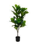 R201095 PLANTA ARTIFICIAL RT PANDURATA 120 CM