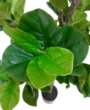 R201096 PLANTA ARTIFICIAL  PANDURATA  180 CM