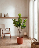 R201096 PLANTA ARTIFICIAL  PANDURATA  180 CM