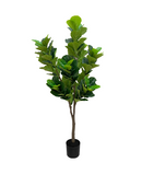 R201096 PLANTA ARTIFICIAL  PANDURATA  180 CM