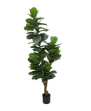 R201097 PLANTA ARTIFICIAL RT PANDURATA 210 CM