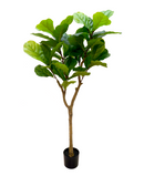 R201098 PLANTA ARTIFICIAL PANDURATA 150 CM