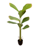 R201107 PLANTA ARTIFICIAL PALMA CONCHA X8 160 CM
