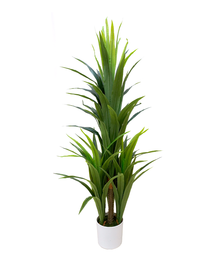R201127 PLANTA ARTIFICIAL DRACAENA 150CM