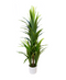R201127 PLANTA ARTIFICIAL DRACAENA 150CM