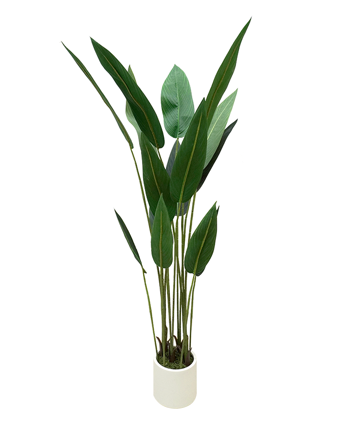 R201129 PLANTA ARTIFICIAL STRELITZIA 155CM