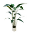 R201129 PLANTA ARTIFICIAL STRELITZIA 155CM