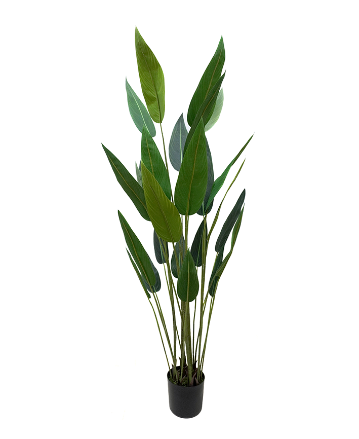 R201130 PLANTA ARTIFICIAL STRELITZIA 190CM
