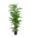 R201133 PLANTA ARTIFICIAL PALMA 250CM