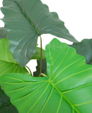 R201135 PLANTA ARTIFICIAL ALOCASIA 145CM