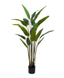 R201140-M MP PLANTA ARTIFICIAL STRELITZIA 170CM 20H