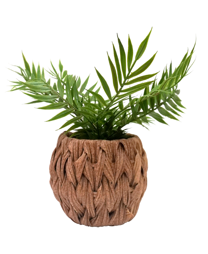 R201414 MINI PLANTA PALMA 30 CM