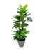 R201615 PLANTA ARTIFICIAL MONSTERA 85CM